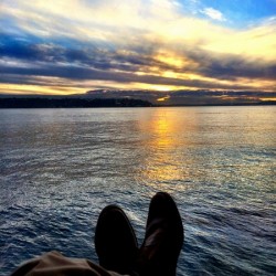 Relaxing Reflections at the Edgewater