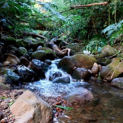 Hiking Hawaii Water Flow