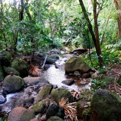Hiking Hawaii Water Flow B