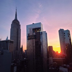 Golden Morning Manhattan