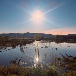 Reflections of La Crosse 2-Reflecting the brilliance of a new day
