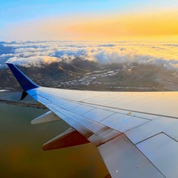 Wings over SF: Golden Fog Unveiled