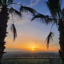 Between Palms and Possibility