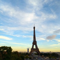 Eiffel Tower 1D