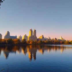 Autumn Skyline Firelight