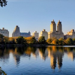 Central Park Reservoir Reflections