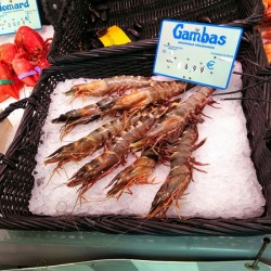 Farmers Market -- Seafood