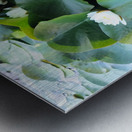 Nature’s Quiet Triumph Impression metal