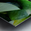 White Radiance in Green Silence Metal print