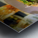 Earth Ocean Flame: A Coastal Culinary Portrait Impression metal