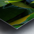 The Quiet Reveal: Beauty Beneath Metal print