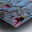 Spring Sun Worshipping Magnolia Metal print