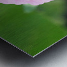 Pretty in Pink Zinnia:  Soft Celestial from Earth’s Garden Metal print