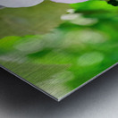 Bee Drowning in Pollen  Impression metal