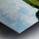 The Silent Pulse of Cultivation Metal print