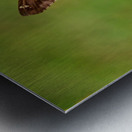 Marigold Thrones and Winged Kings Metal print