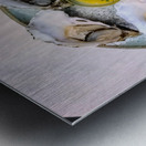 Silent Brine: The Oyster Sonata Metal print