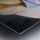 Bread & Brine: A Culinary Portrait Metal print