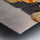 Shellbound Sonata Metal print