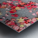 Colorful Fallen Beauties Metal print