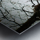 A Fallen Farewell: One Last Note Impression metal