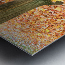 Leaves Me Stumped: Rooted in Color Impression metal