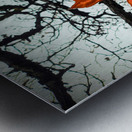 A Fallen Farewell : Defiant Ember Impression metal