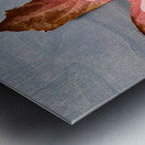 Holding Onto Fall: Nature’s High Five Impression metal