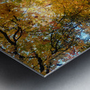 Fall Over the Road Metal print