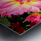 Petal Prism: Nature’s Geometry Metal print