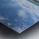 Sky Above Roots Below Metal print