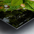 Floravox: The Soft-Spoken Twins Impression metal