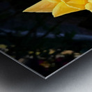 Sunwrought Yellow Rose Metal print