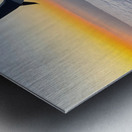 Pillowalk over San Francisco-Spring 2025 Metal print