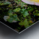 Alchemy in Bloom Metal print