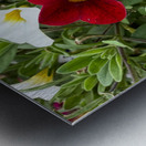 Bold Petals Quiet Strength Impression metal