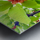 The Humble Crown of the Orchard Queen Impression metal