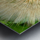 Nature’s Compass: All Directions One Origin Metal print