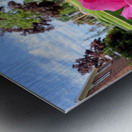 The Rose That Listened to the Wind Impression metal