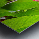 Twin Suns on the Orchard Axis Metal print