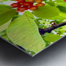 Emerald Boughs and Scarlet Promises Metal print