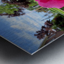 Petal by Petal: Becoming Beautiful Without Permission Metal print