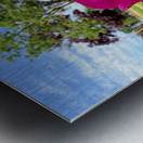 Petalbound: The Secret Just Before Beauty Speaks Impression metal