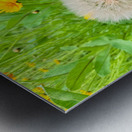 Cartography of a Wish Metal print