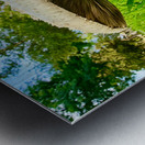 The Watcher in the Grass Impression metal