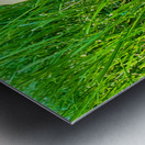 A Quiet Uprising from Below Metal print