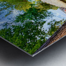 The Lowland Throne Metal print