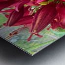 The Gathering of Fire Blooms Impression metal