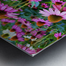 The Garden Collective Metal print