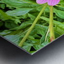 Heart of Summer Metal print